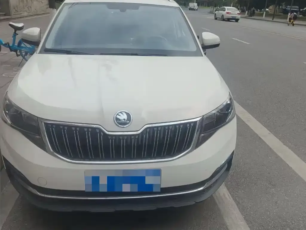 Skoda Kamiq 2021 из CN, фото 4