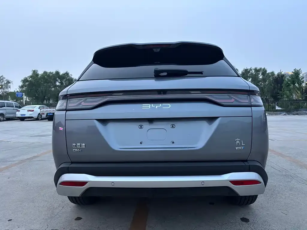 BYD L DM-i — фото 6