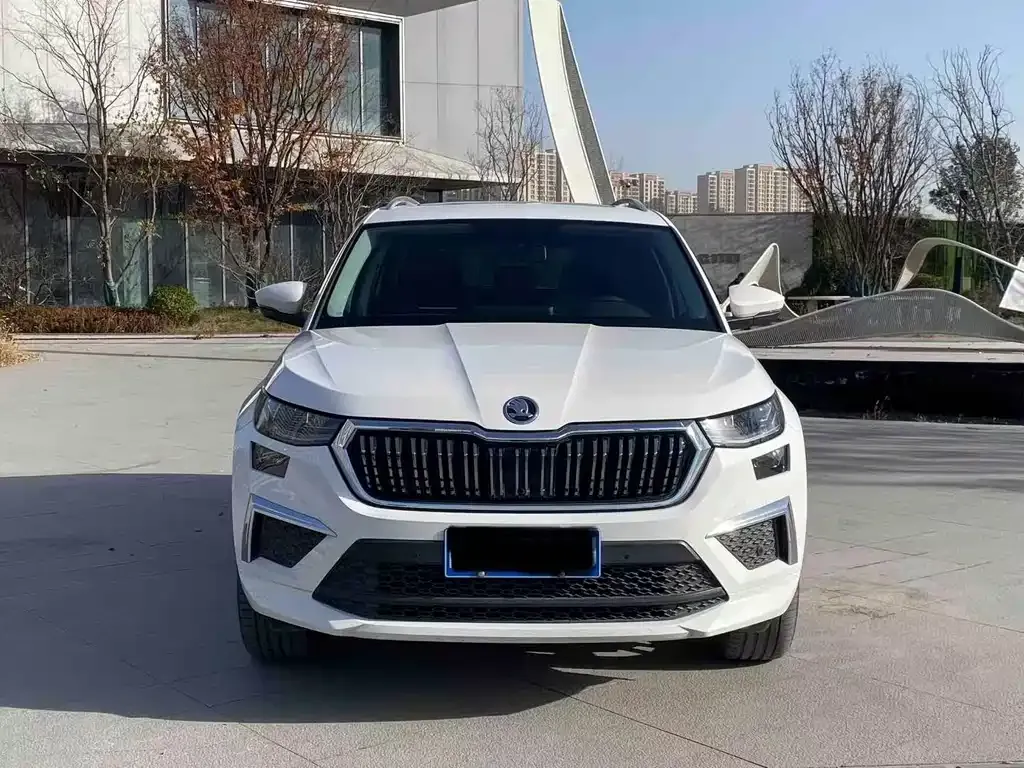 Skoda Kodiaq 2022 из CN, фото 7