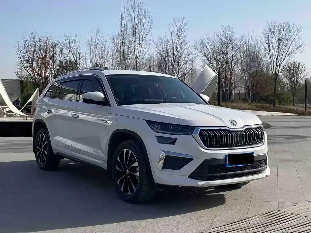 Skoda Kodiaq 2022 из CN, фото 9