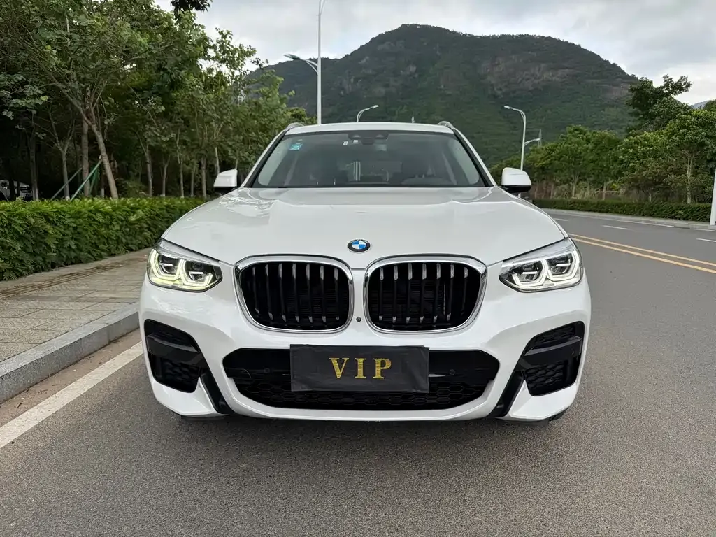 BMW X3 2021 из CN, фото 8