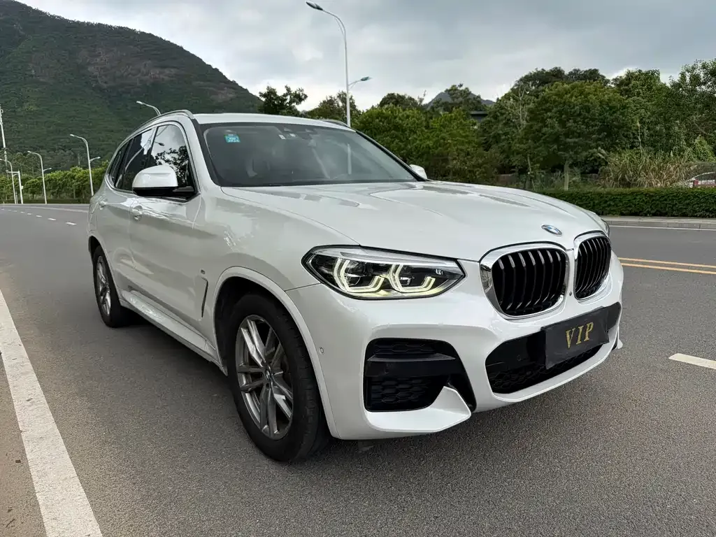 BMW X3 2021 из CN, фото 10