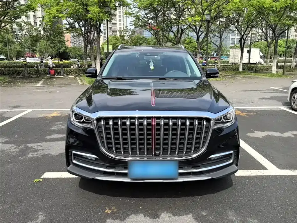 Hongqi HS7 2023 из CN, фото 7