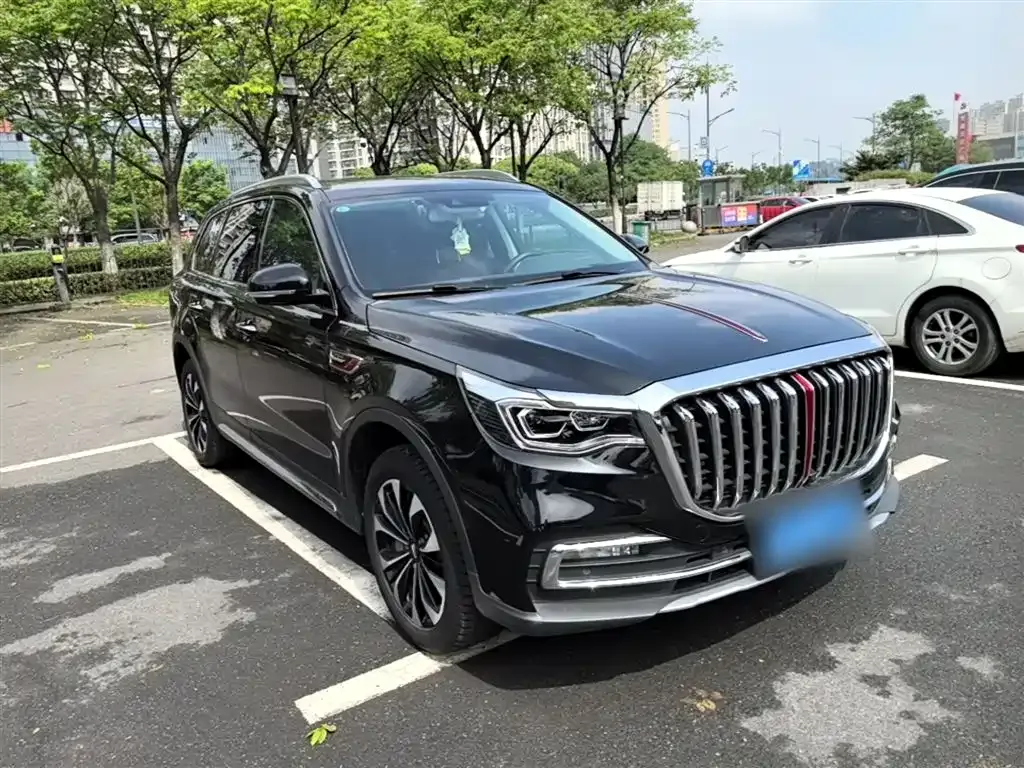 Hongqi HS7 2023 из CN, фото 9