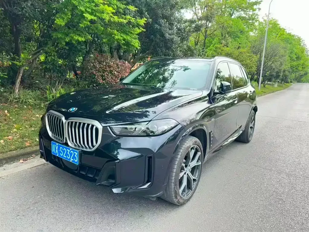 BMW X5 — фото 1