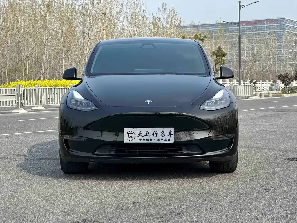 Tesla Model Y — фото 10