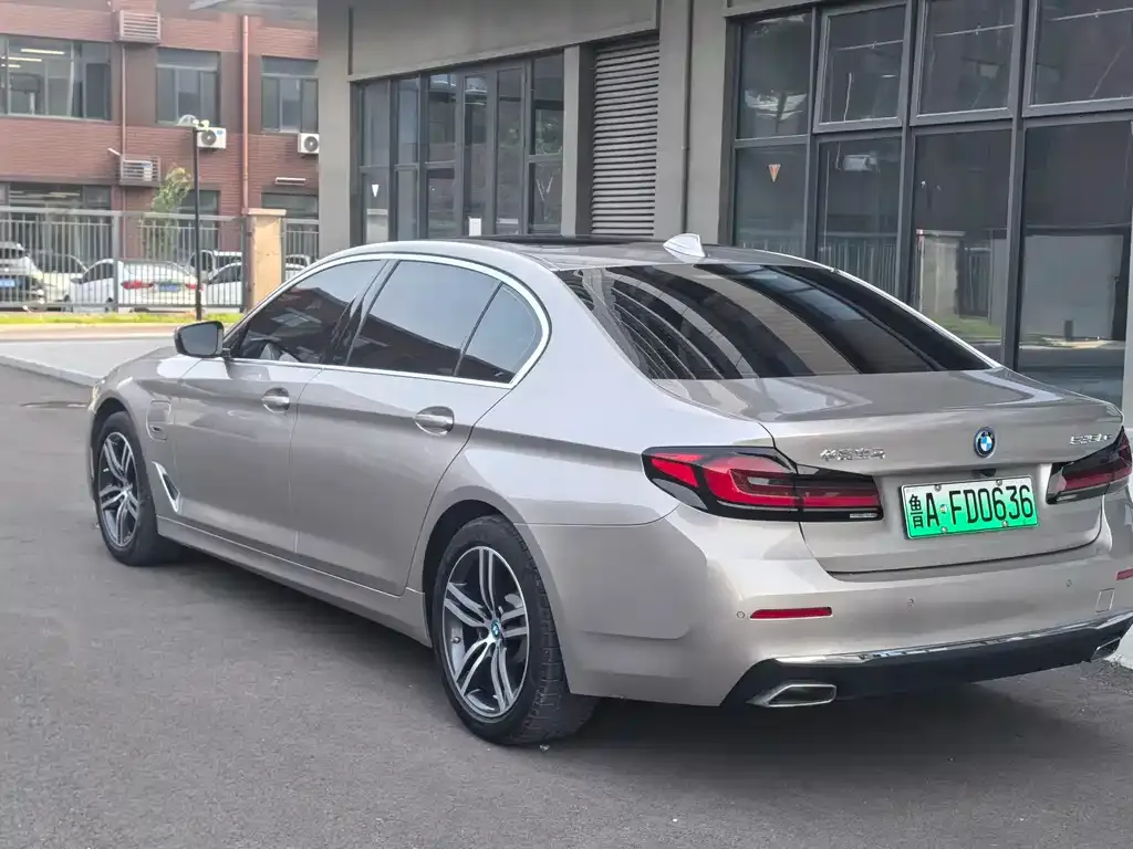 BMW 5 Series New Energy 2023 из CN, фото 6