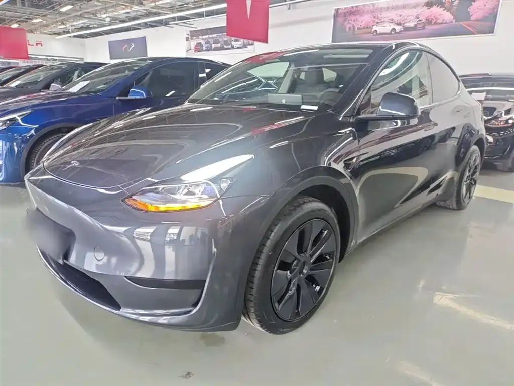 Tesla Model Y — фото 6