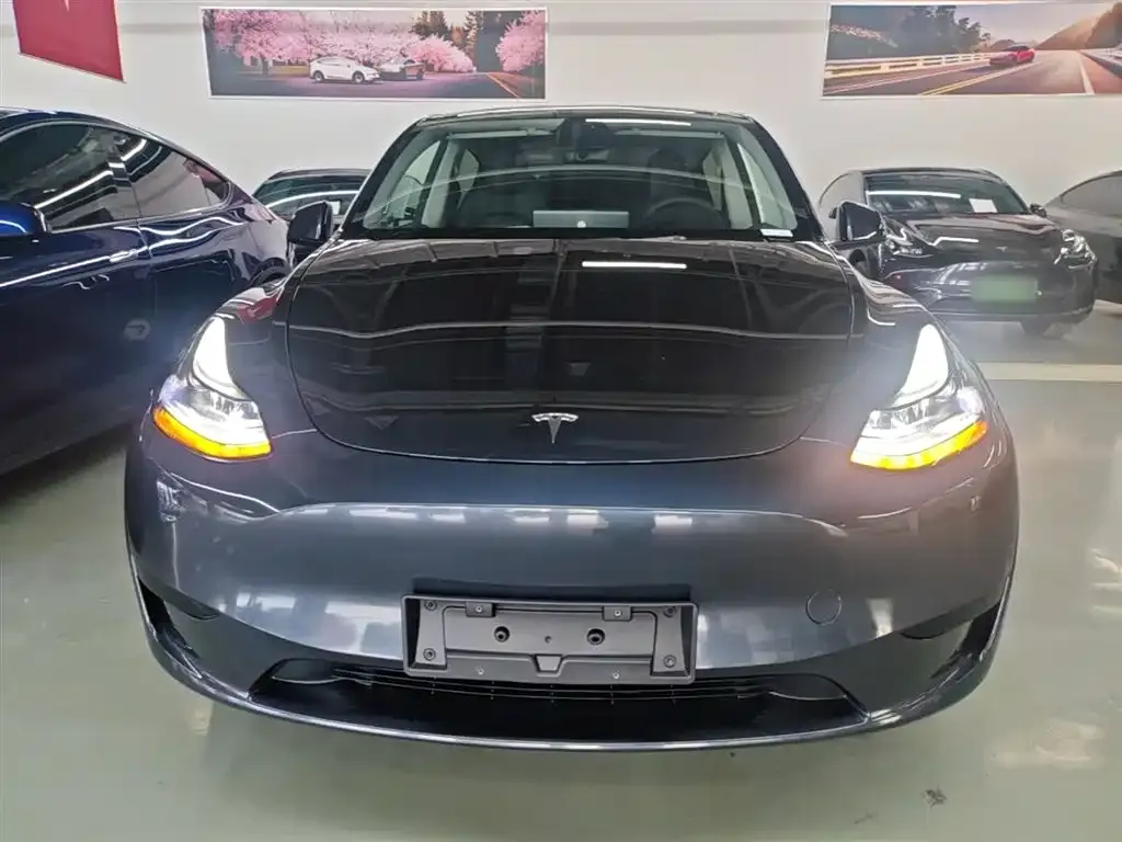 Tesla Model Y — фото 7
