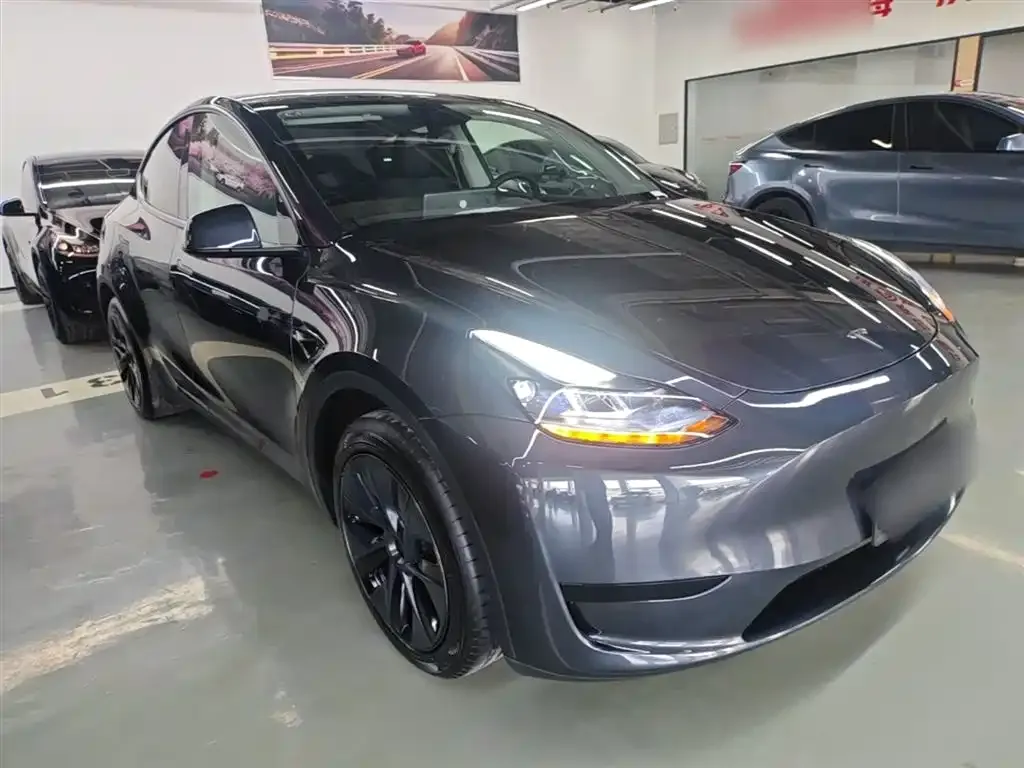 Tesla Model Y — фото 8