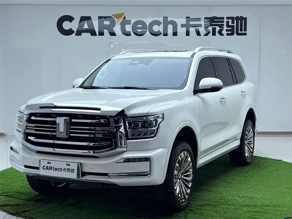 Tank 500 New Energy 2024 из CN, фото 1