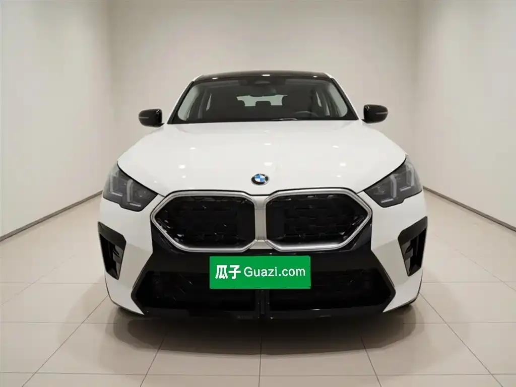 BMW X2 (Import) 2025 из CN, фото 7