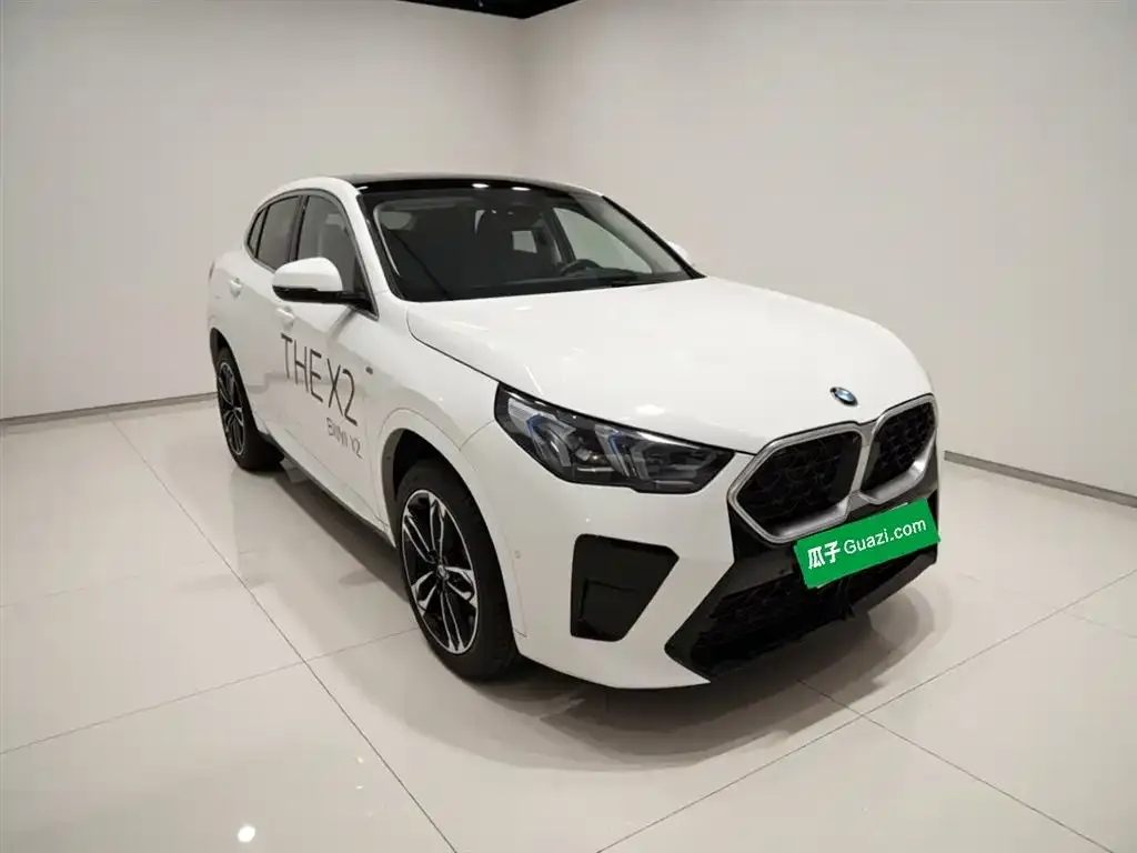 BMW X2 (Import) 2025 из CN, фото 3