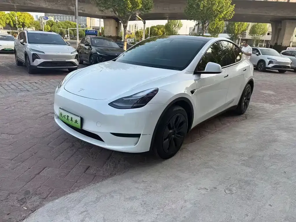 Tesla Model Y — фото 1