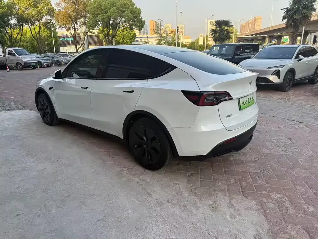 Tesla Model Y — фото 5