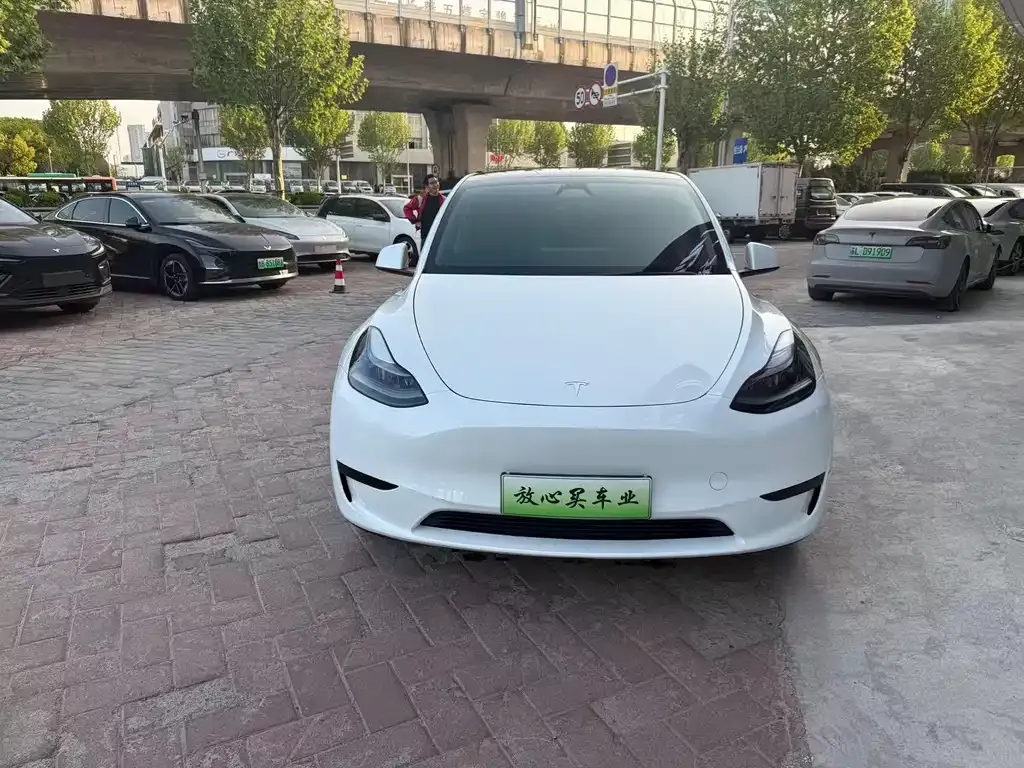 Tesla Model Y — фото 8