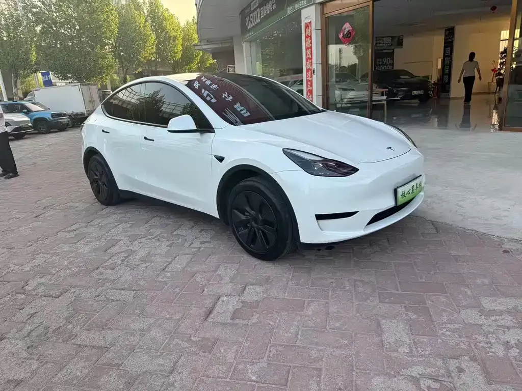 Tesla Model Y — фото 10