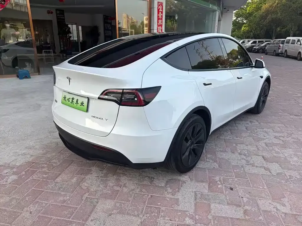 Tesla Model Y — фото 9