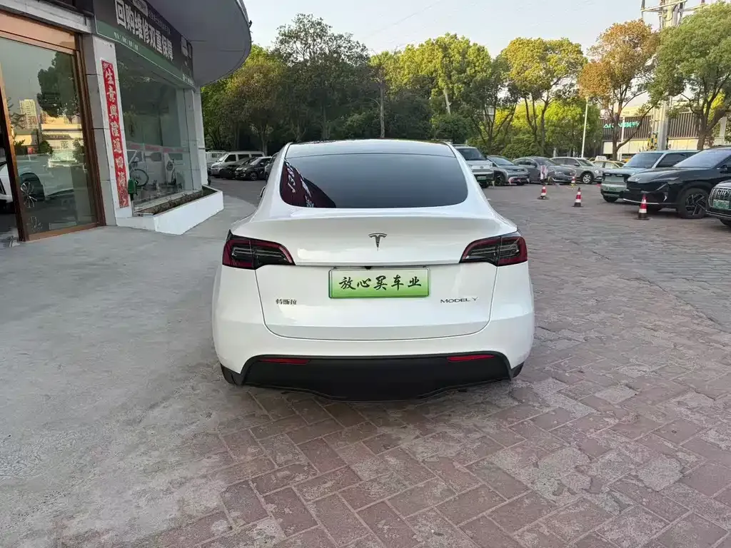 Tesla Model Y — фото 4