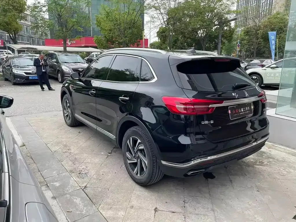 Hongqi HS5 2023 из CN, фото 10