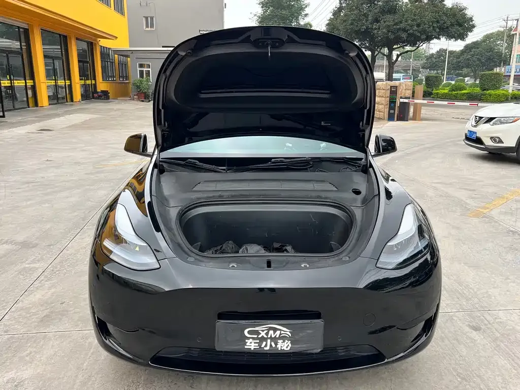 Tesla Model Y — фото 10