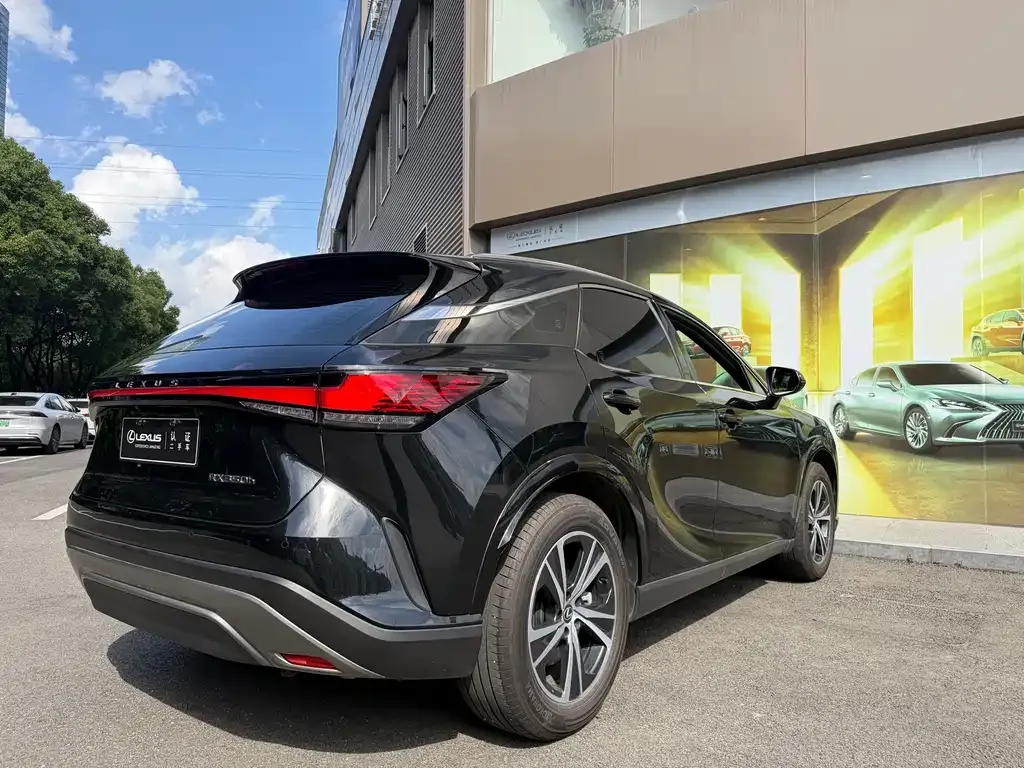 Lexus RX — фото 6
