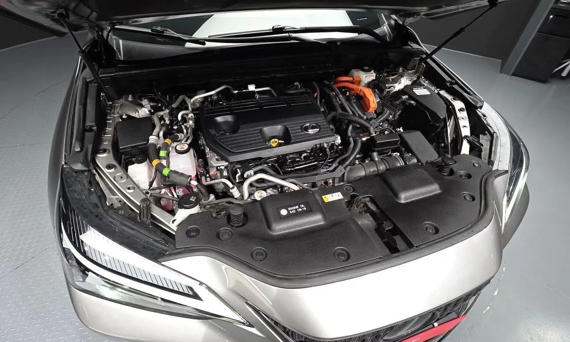 Lexus NX 2024 из KR, фото 8