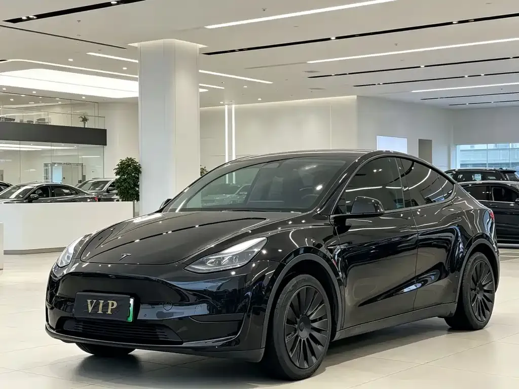 Tesla Model Y — фото 1