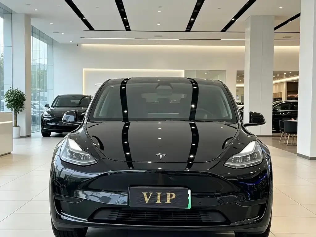 Tesla Model Y — фото 7