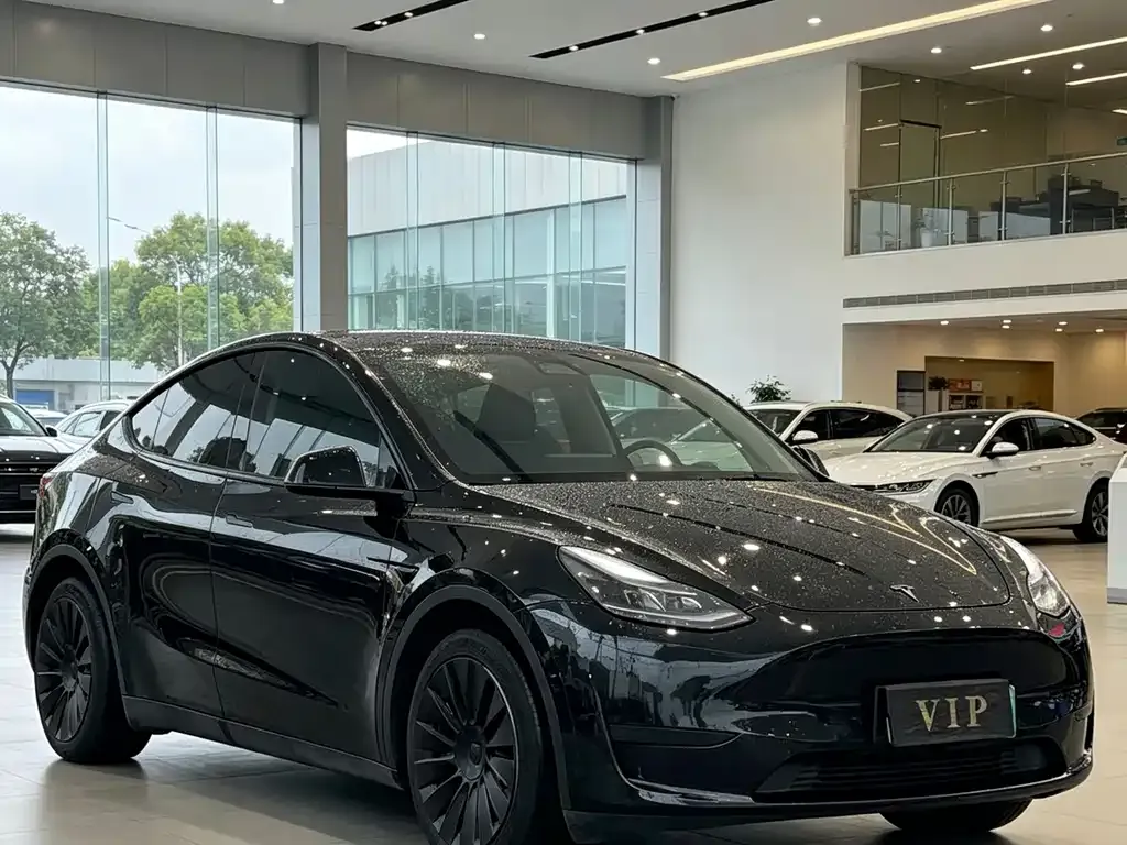 Tesla Model Y — фото 9