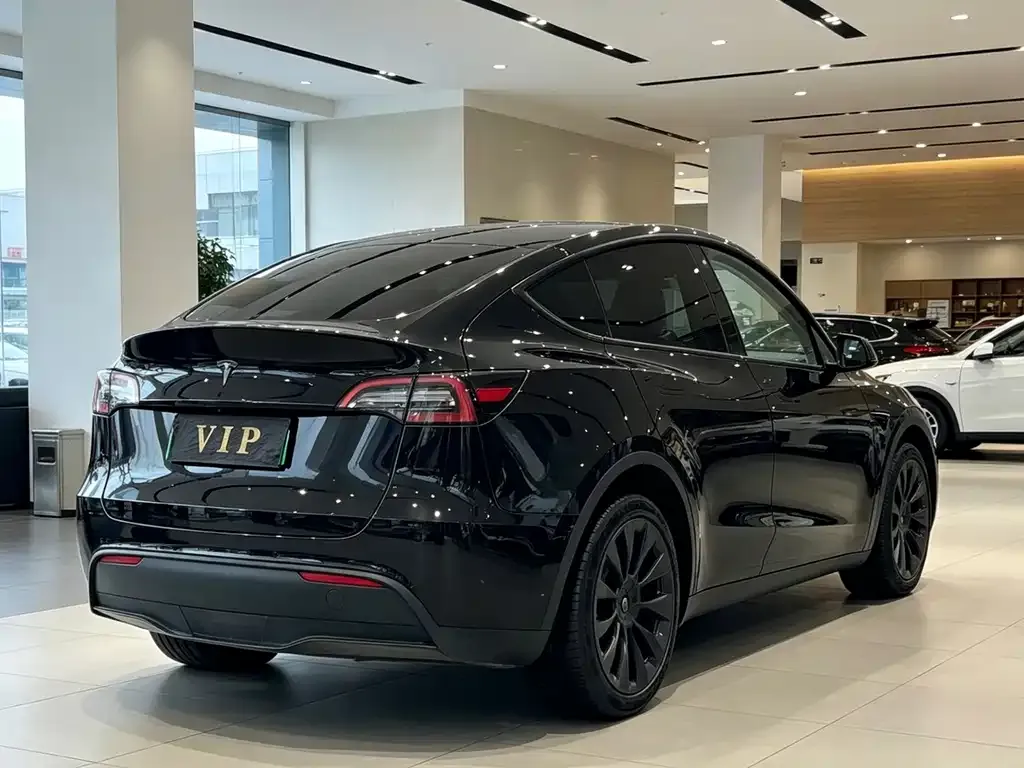 Tesla Model Y — фото 6