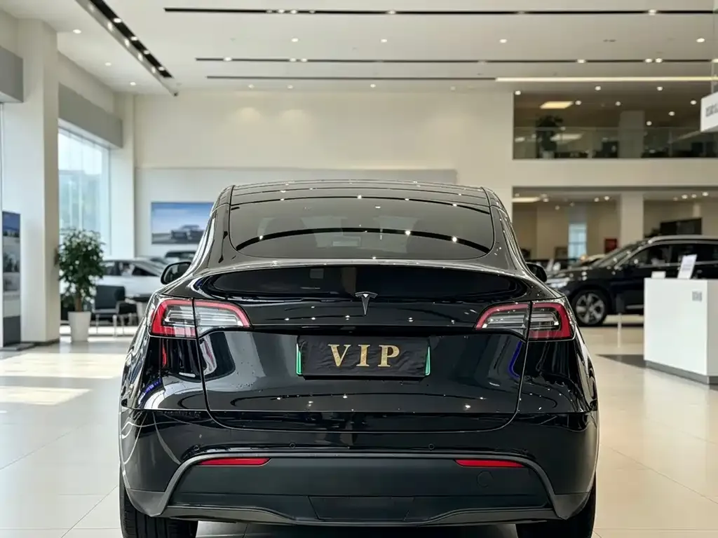 Tesla Model Y — фото 2