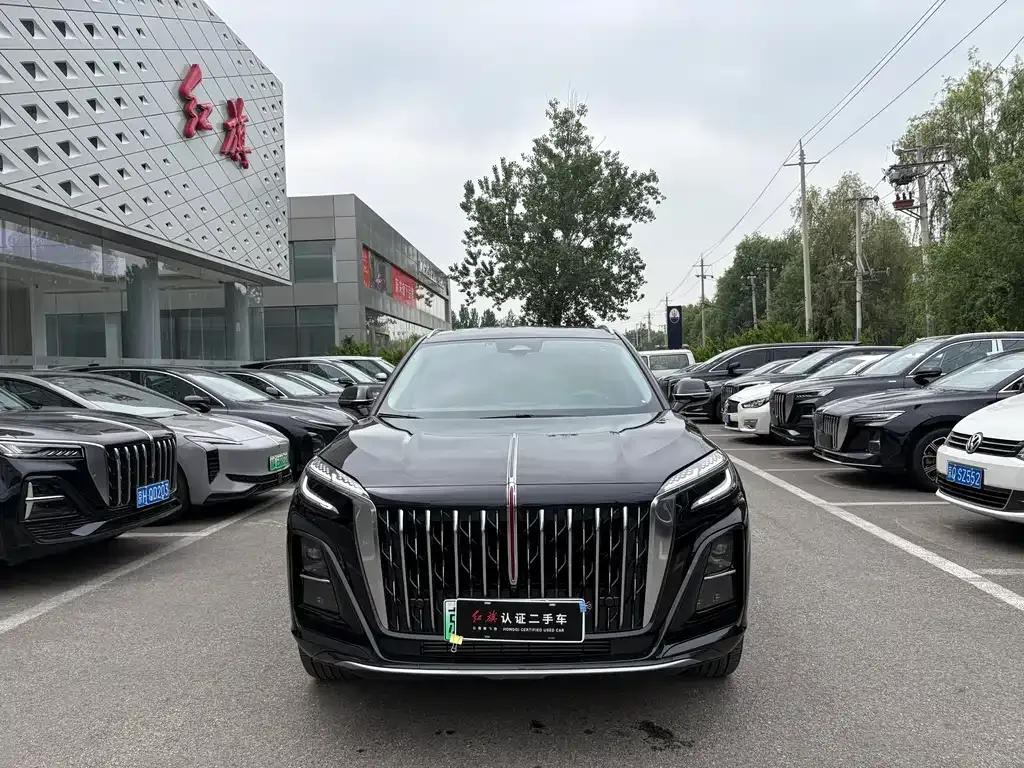Hongqi HS3 PHEV 2024 из CN, фото 10