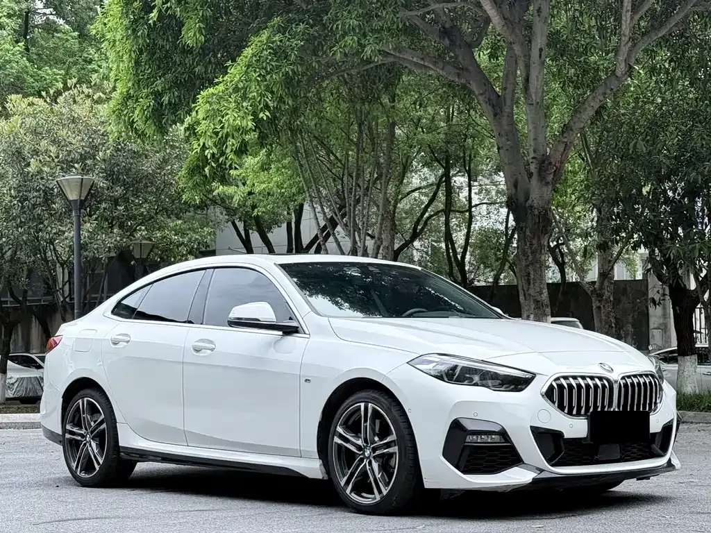 BMW 2 Series (Import) 2024 из CN, фото 9