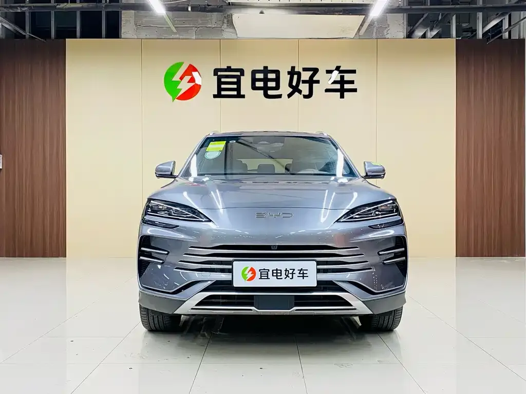 BYD PLUS New Energy — фото 2