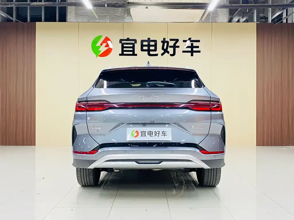 BYD PLUS New Energy — фото 8