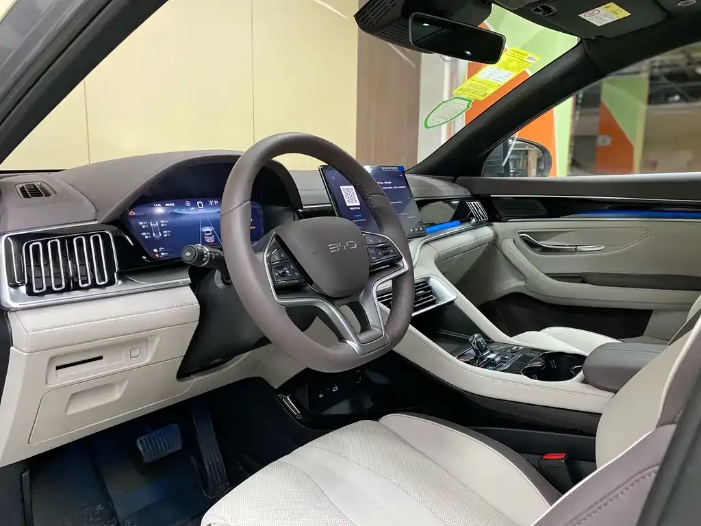 BYD PLUS New Energy — фото 10