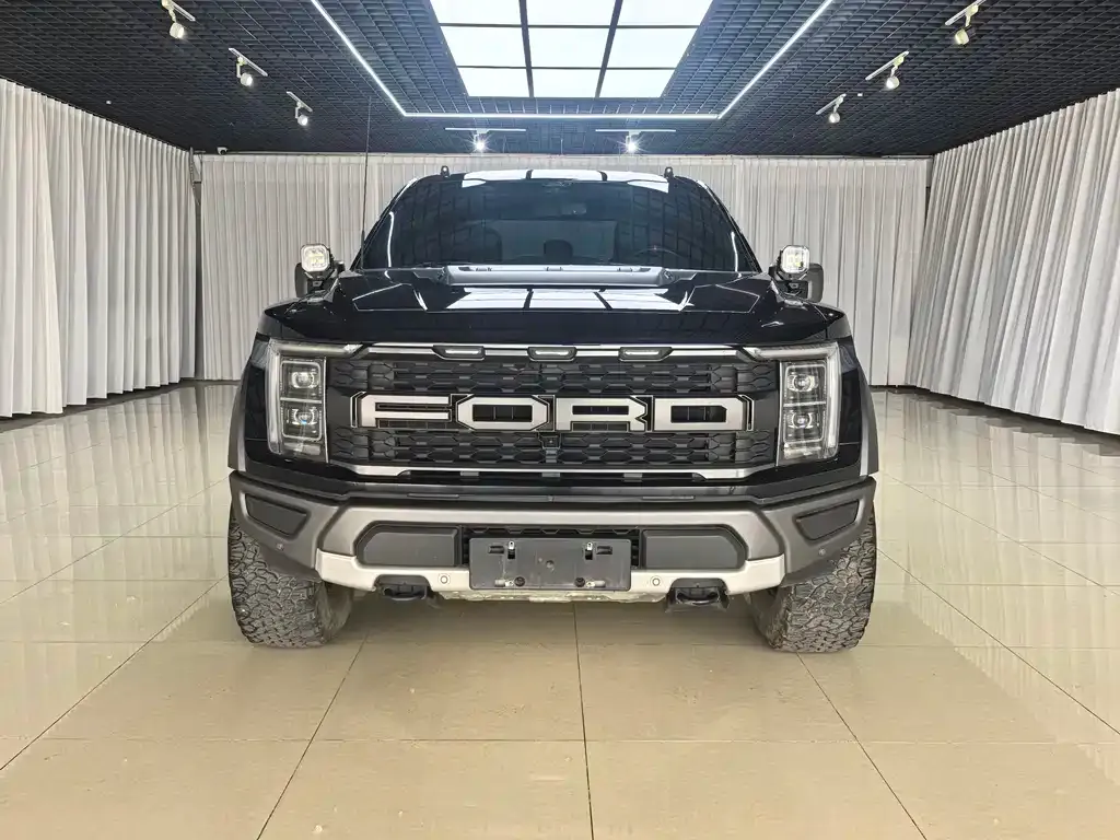 Ford F-150 Raptor 2023 из CN, фото 9
