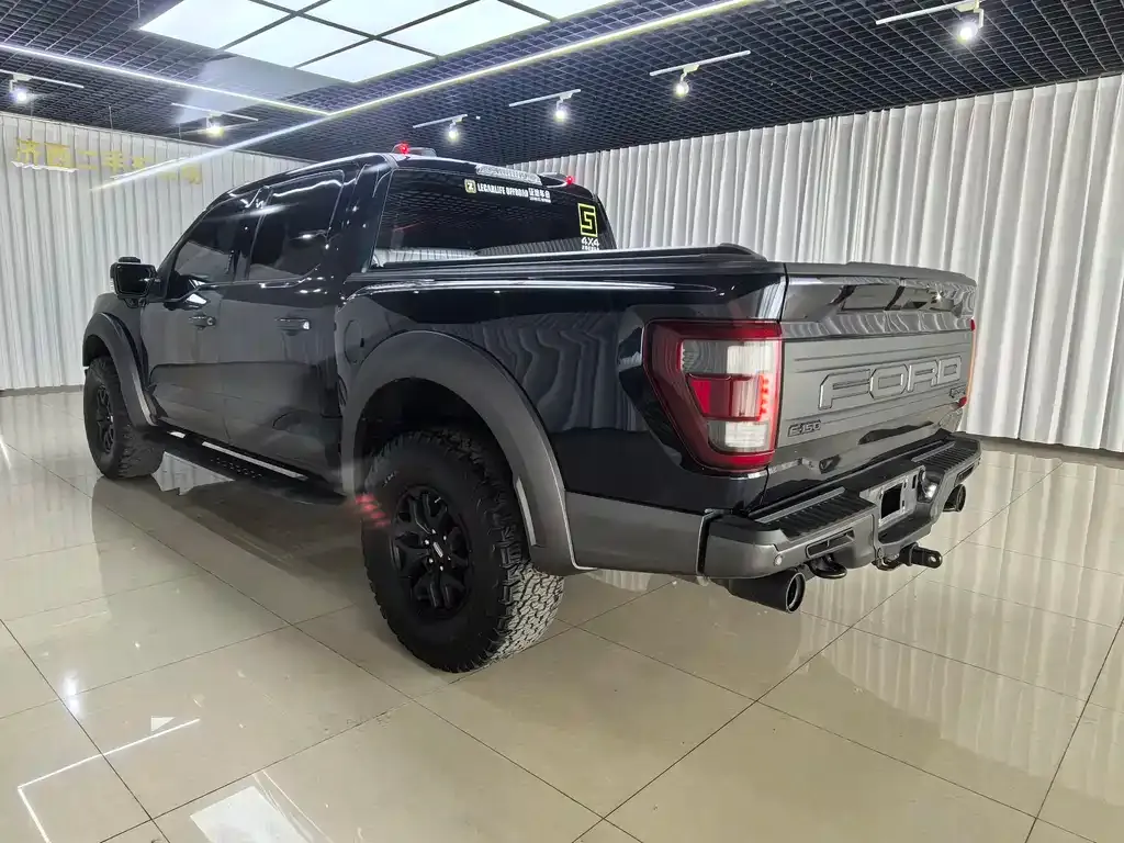 Ford F-150 Raptor 2023 из CN, фото 6