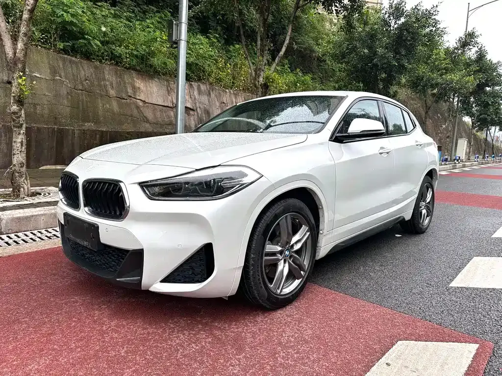 BMW X2 2022 из CN, фото 1
