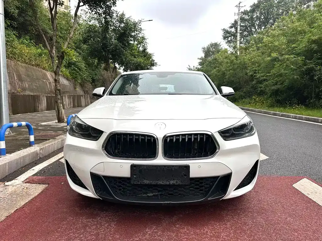 BMW X2 2022 из CN, фото 5
