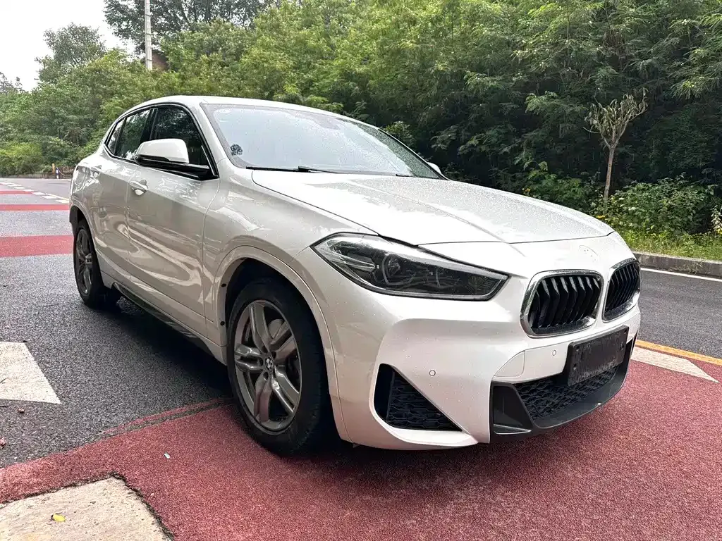 BMW X2 2022 из CN, фото 3