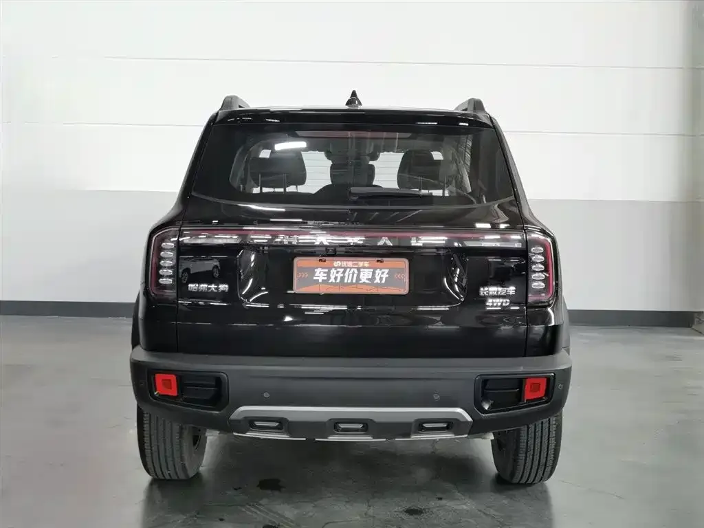 Haval Big Dog — фото 8