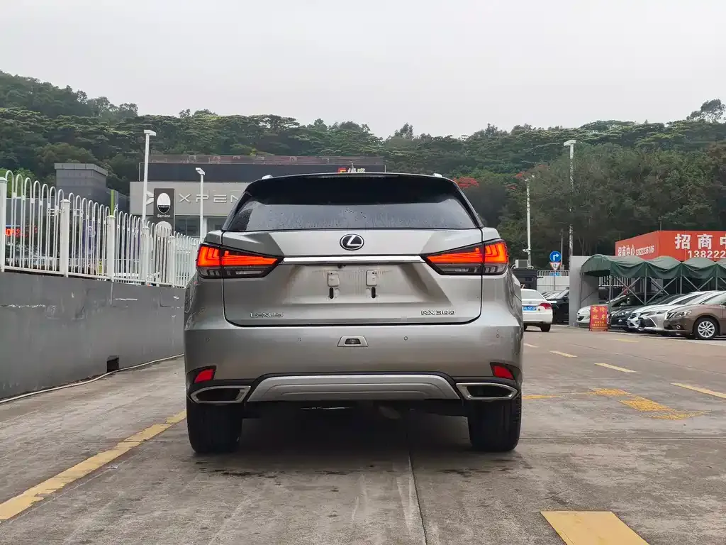 Lexus RX — фото 6