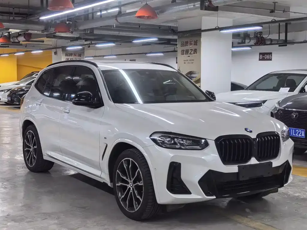 BMW X3 2023 из CN, фото 6