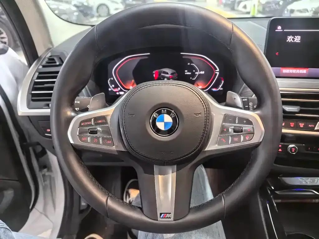 BMW X3 2023 из CN, фото 9