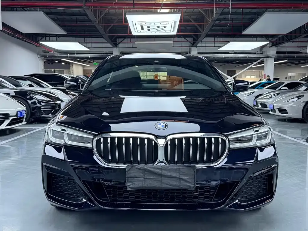 BMW 5 Series 2021 из CN, фото 8