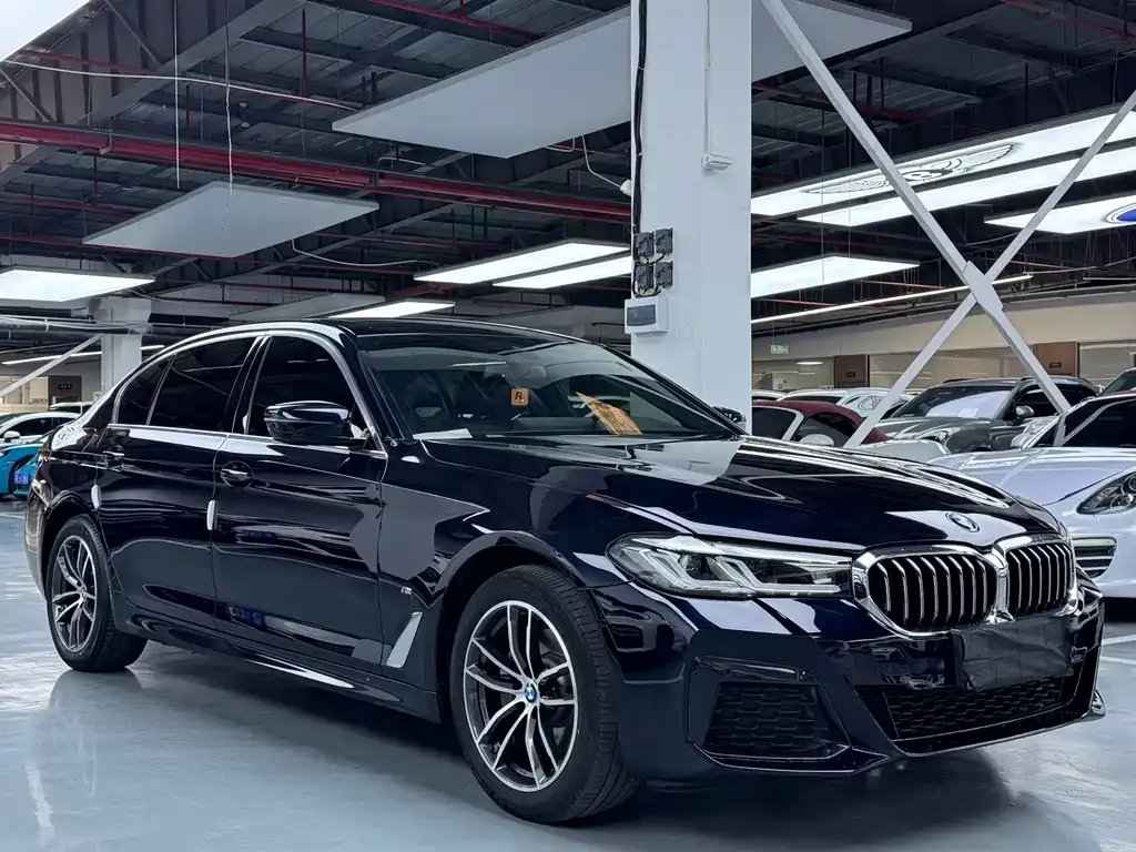 BMW 5 Series 2021 из CN, фото 9