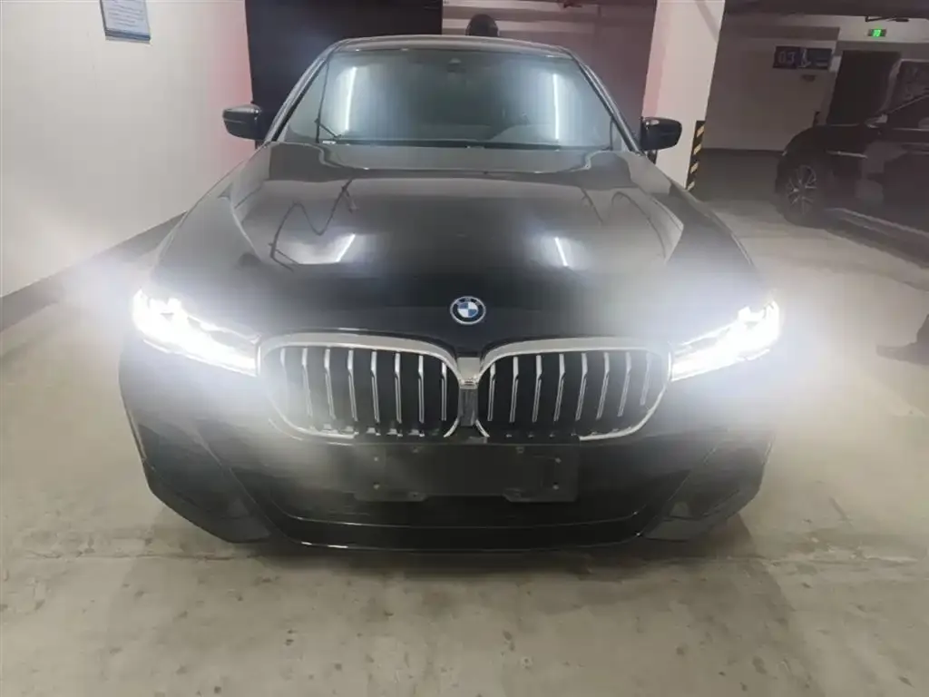 BMW 5 Series New Energy 2021 из CN, фото 7