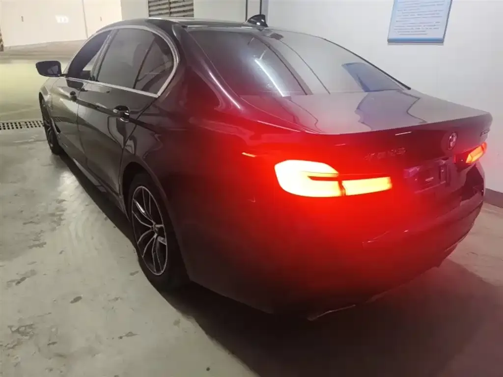 BMW 5 Series New Energy 2021 из CN, фото 9